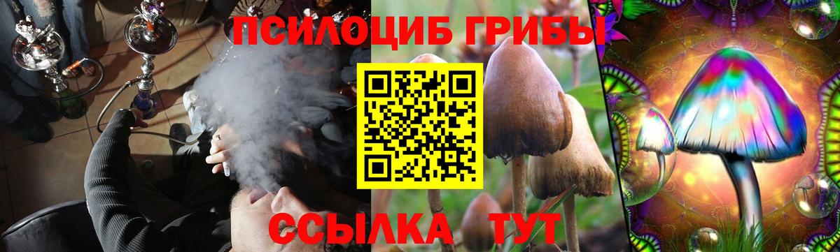 Галлюциногенные грибы GOLDEN TEACHER Рыбинск