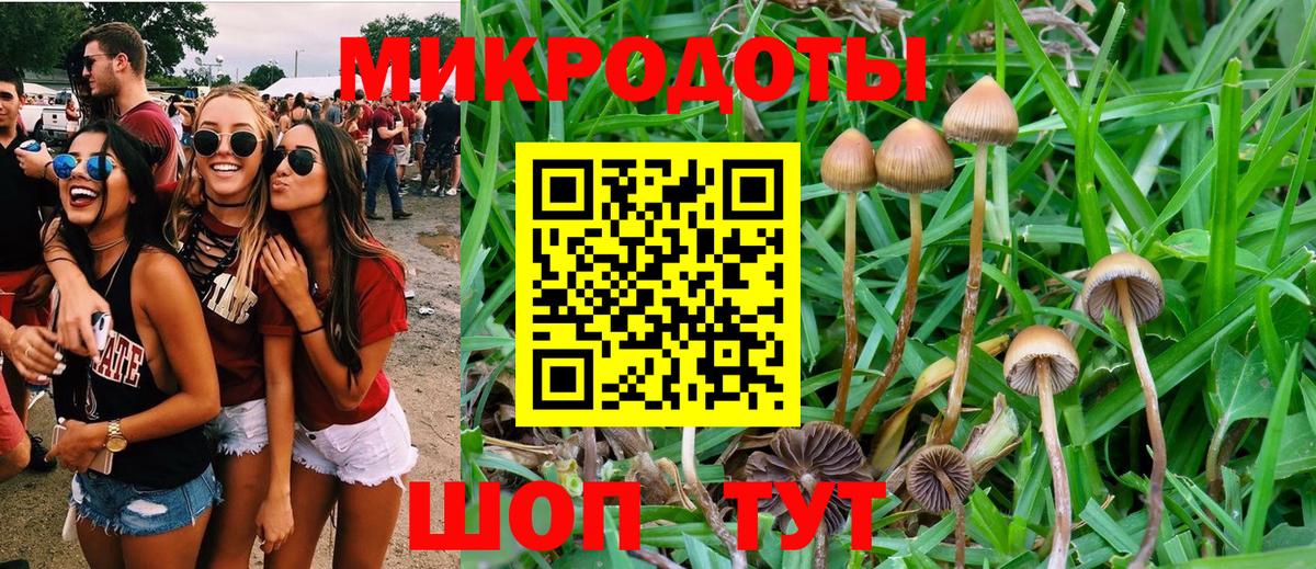 Рыбинск  Галлюциногенные грибы Magic Shrooms  Вход с VPN 